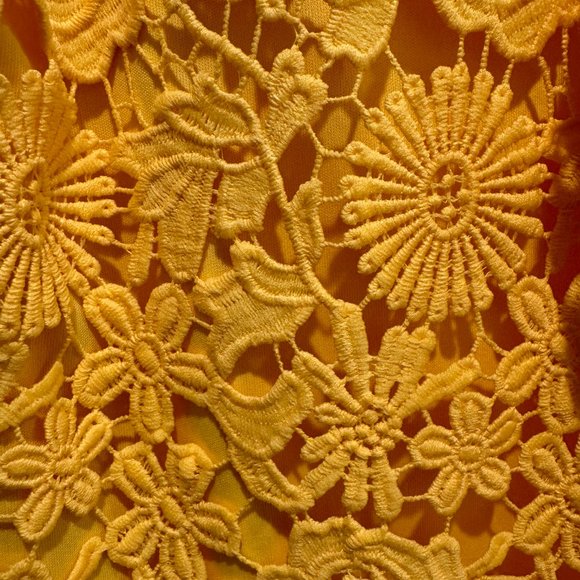 Lulu's Love Poem Yellow Lace Dress - Picture 3 of 3